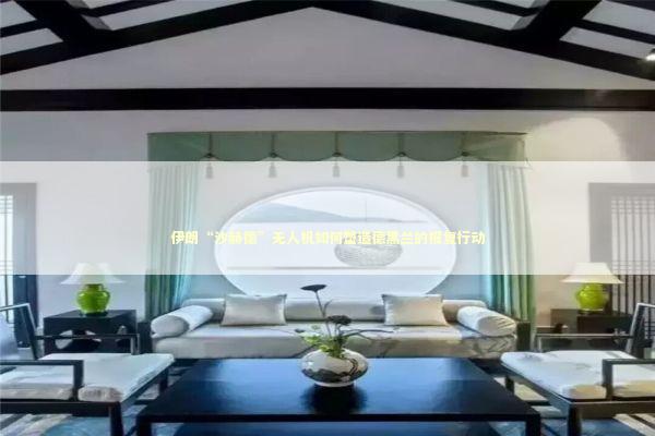 伊朗“沙赫德”无人机如何塑造德黑兰的报复行动 新闻