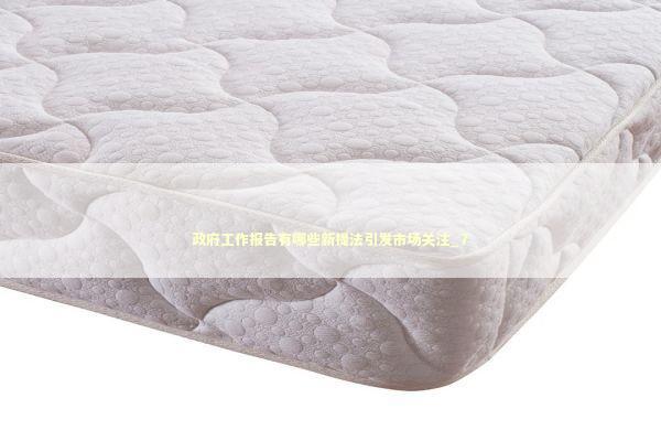 政府工作报告有哪些新提法引发市场关注_7