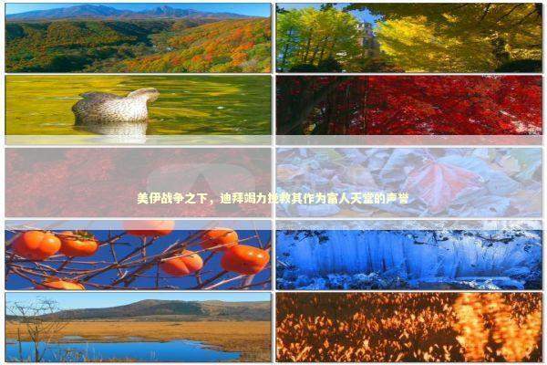 美伊战争之下，迪拜竭力挽救其作为富人天堂的声誉 新闻