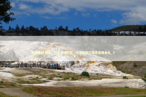 市值重回千亿，三次关键转型，宁波农民打造逆变器龙头_2