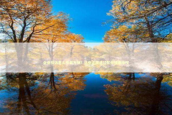 企业投诉怎么投最方便？这些正规途径帮你快速维权 新闻