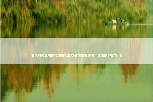 北大教授孔庆东被曝爆粗口攻击汉服支持者：皇汉杂种畜牲_6 新闻