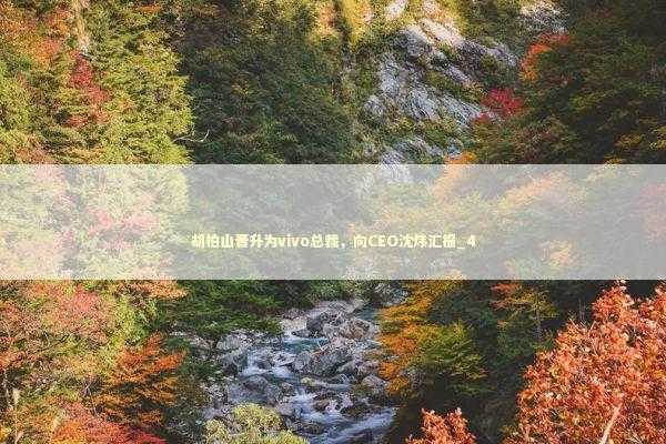 胡柏山晋升为vivo总裁，向CEO沈炜汇报_4 新闻