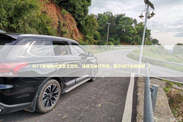 WTT新加坡大满贯王楚钦、孙颖莎单打夺冠，国乒双打全线折戟_2 新闻