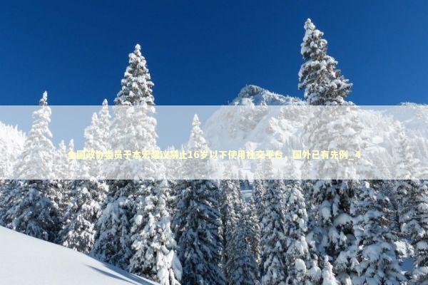 全国政协委员于本宏建议禁止16岁以下使用社交平台，国外已有先例_4 新闻