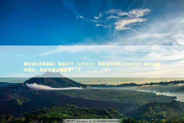 铝价创1月来新高！有色ETF（159876）获资金净申购1980万份！MACD指标提示，做多力量占据主导！_5 新闻