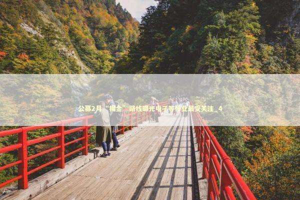 公募2月“掘金”路线曝光电子等行业最受关注_4 新闻