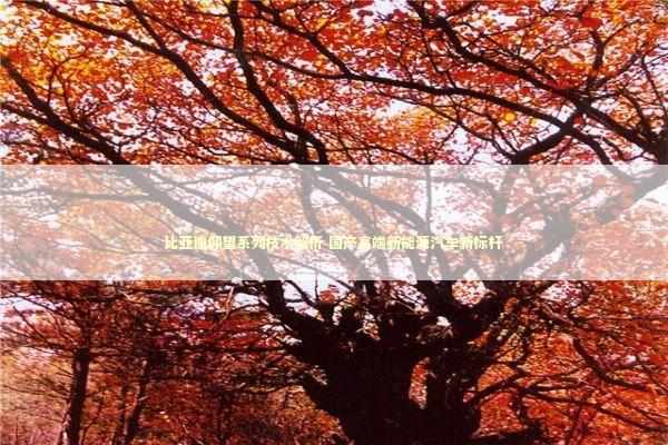 比亚迪仰望系列技术解析 国产高端新能源汽车新标杆 新闻