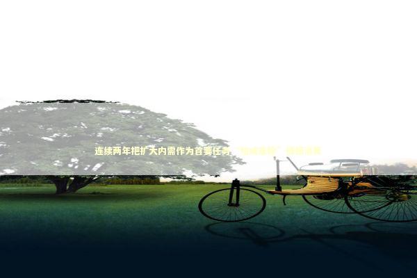 连续两年把扩大内需作为首要任务“加减乘除”提振消费 新闻