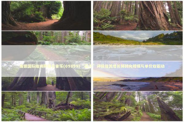 浦银国际维持网易云音乐(09899)“买入”评级指其增长将转向规模与单价双驱动 新闻