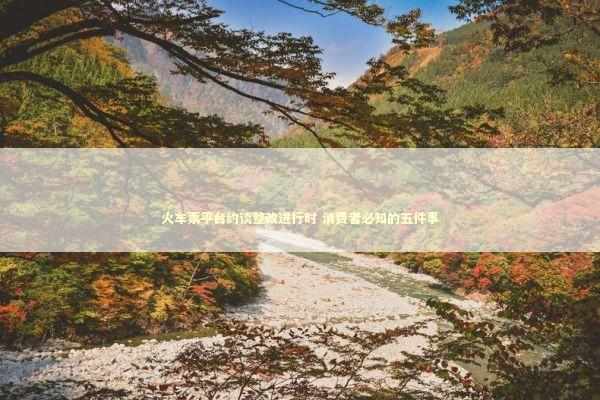 火车票平台约谈整改进行时 消费者必知的五件事 新闻