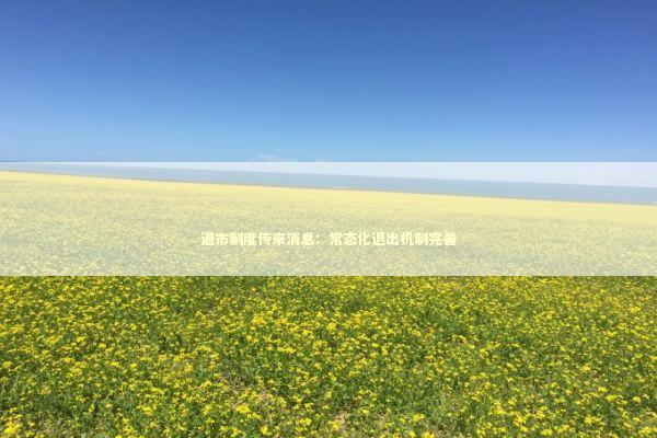 退市制度传来消息：常态化退出机制完善 新闻