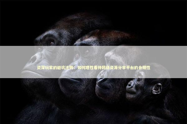 资深玩家的避坑法则：如何理性看待网络资源分享平台的合规性 IT技术