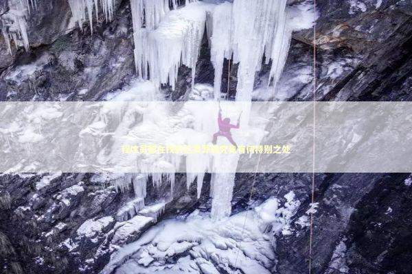 程序员都在找的这类源码究竟有何特别之处 IT技术