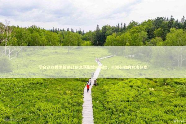 学会这些搜索策略让信息获取效率倍增，亲测有效的方法分享 IT技术