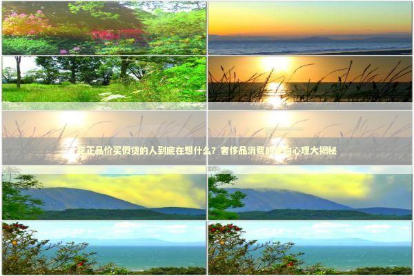 花正品价买假货的人到底在想什么？奢侈品消费的逆向心理大揭秘 时尚用品