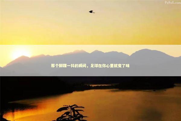 那个脚踝一抖的瞬间，足球在你心里就变了味 体育新闻