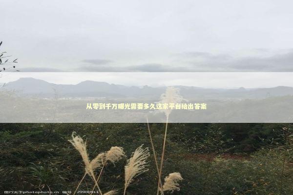 从零到千万曝光需要多久这家平台给出答案 企业服务