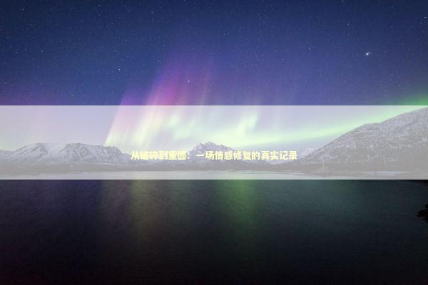 从破碎到重圆：一场情感修复的真实记录 情感心理