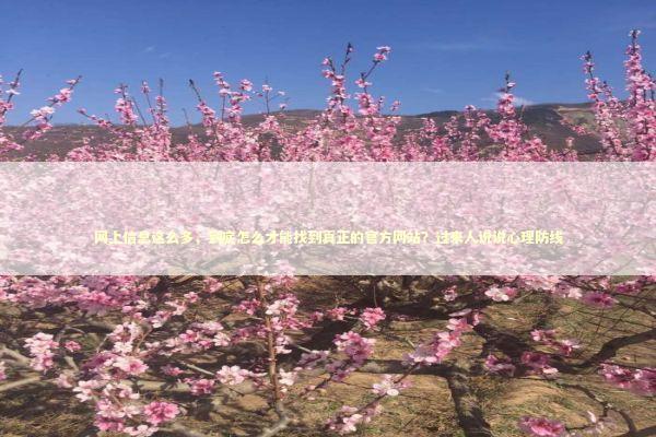 网上信息这么多，到底怎么才能找到真正的官方网站？过来人说说心理防线 IT技术