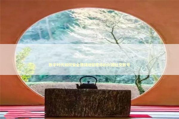 数字时代如何安全便捷地管理你的兴趣社交账号 IT技术