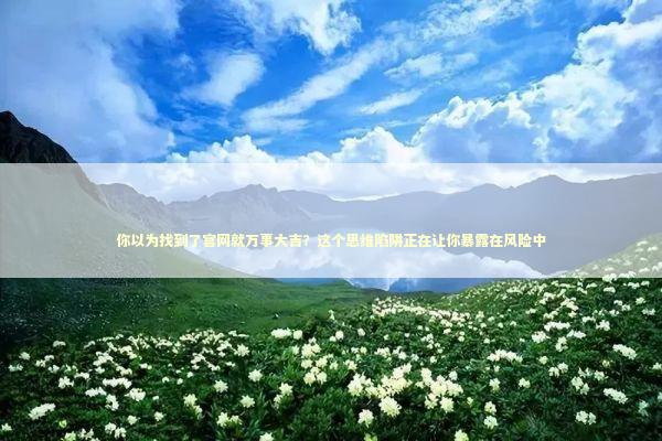 你以为找到了官网就万事大吉？这个思维陷阱正在让你暴露在风险中 IT技术