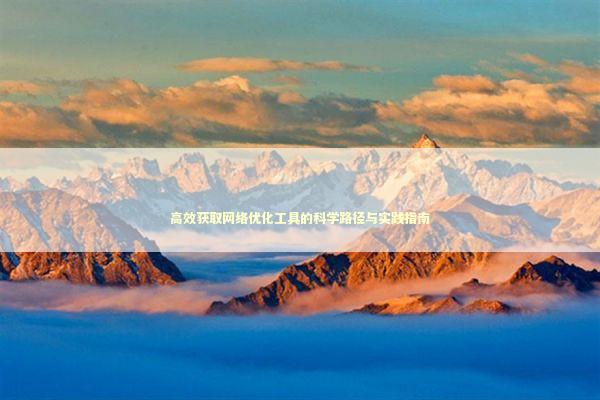 高效获取网络优化工具的科学路径与实践指南 IT技术